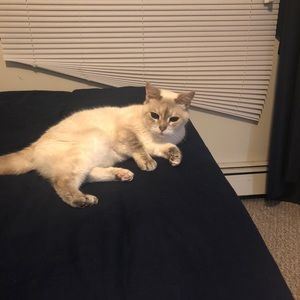 Meet your Posher, Marlon